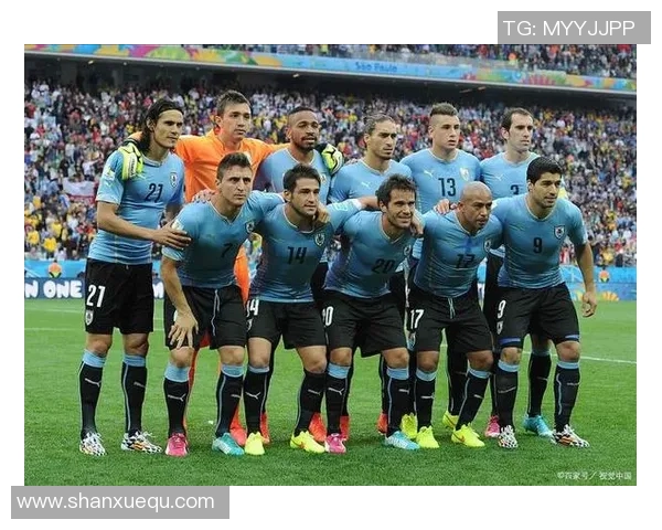 现役法国足球明星的风采与成就解析及未来发展展望