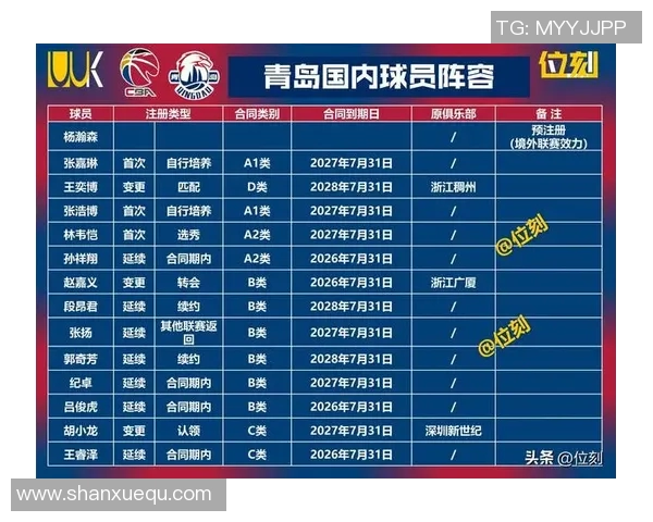 深圳篮球队与南京篮球队赛后分析力量对决的精彩瞬间与战术解读 深圳篮球队与南京篮球队赛后分析力量对决的精彩瞬间与战术解读