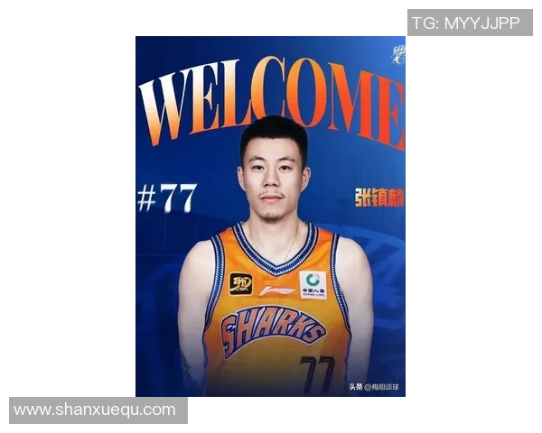 上海篮球队实力强劲荣登全国篮球实力排行榜第七名 上海篮球队实力强劲荣登全国篮球实力排行榜第七名