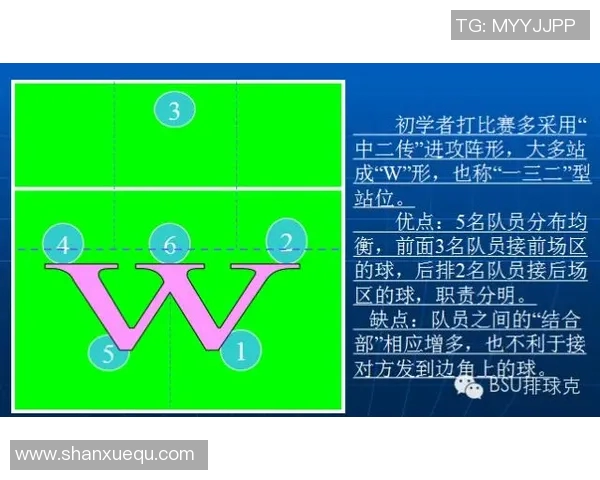 上海排球队的整体压制分析与战术解读探讨 上海排球队的整体压制分析与战术解读探讨