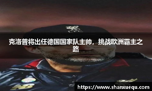 智博19