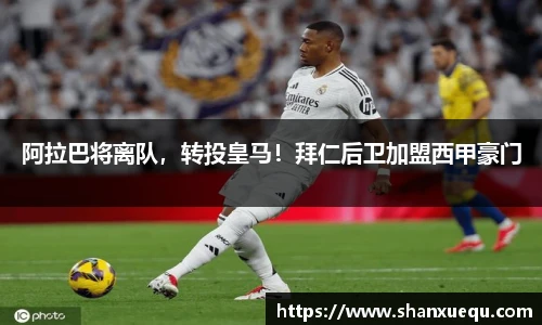 智博19有限公司