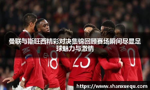 智博19有限公司